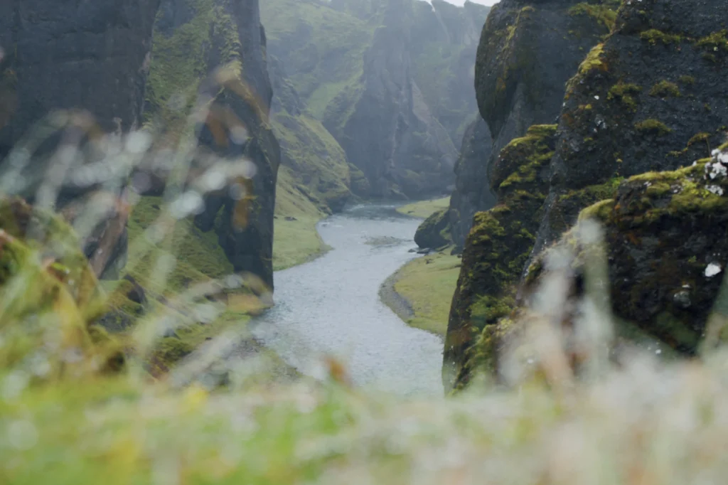 Cañón Fjaðrárgljúfur con río entre acantilados cubiertos de musgo en Islandia