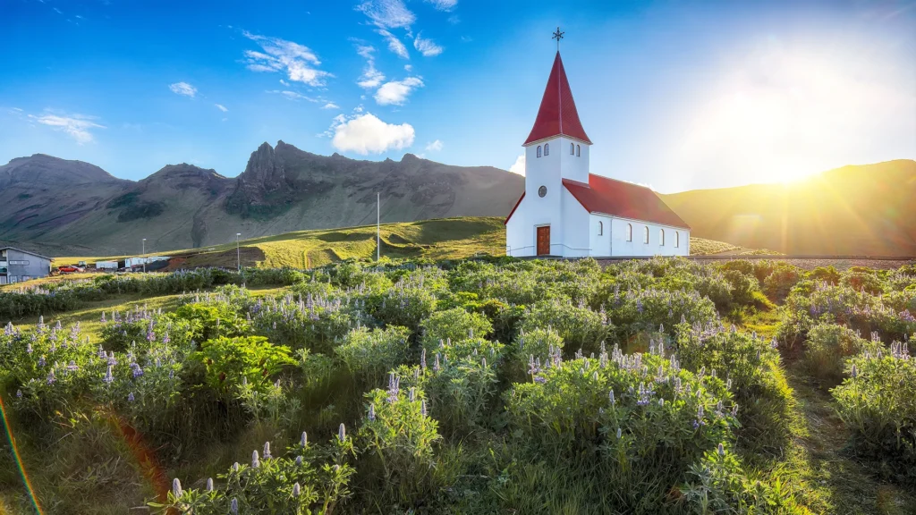 Iglesia Víkurkirkja iluminada por el sol bajo, con flores y montañas en Vík, Islandia.