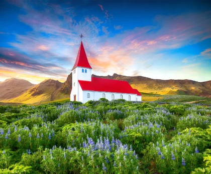 Iglesia Víkurkirkja rodeada de flores y montañas durante el atardecer en Vík, Islandia.