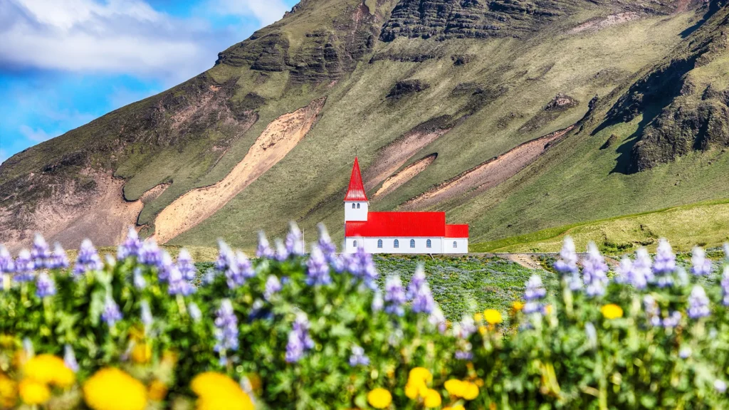 Iglesia Víkurkirkja con tejado rojo frente a una montaña verde y flores en primer plano en Vík, Islandia.