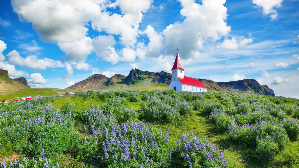 Iglesia Víkurkirkja rodeada de flores violetas y montañas verdes en Vík, Islandia.